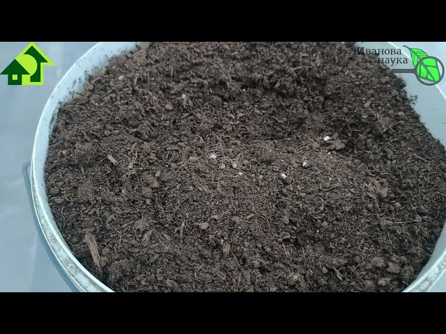 Улучшение торфа для посева семян и пикировки